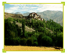 Matho Monastery, Ladakh Tours