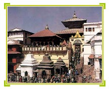Pashupatinath Temple, Kathmandu Tours & Travels