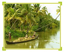 Backwaters, Kerala Tourism