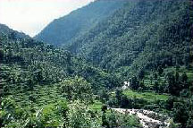 Tibet Border